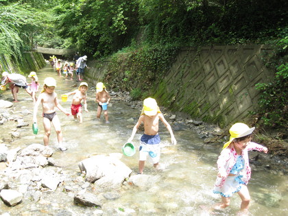 IMG_2478.jpg