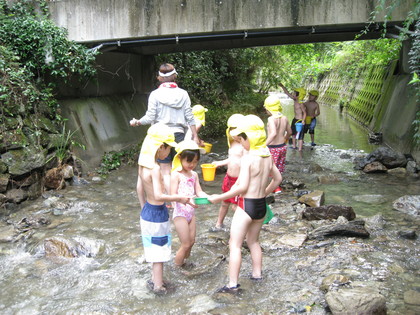IMG_2489.jpg