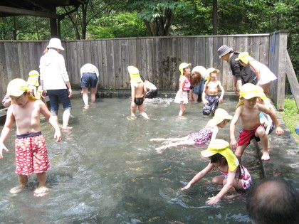 IMG_2516.jpg