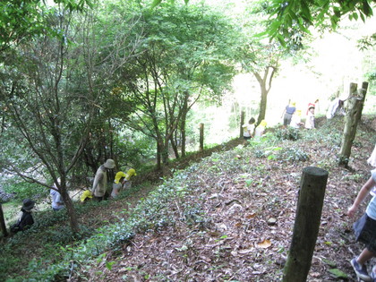 IMG_2617.jpg